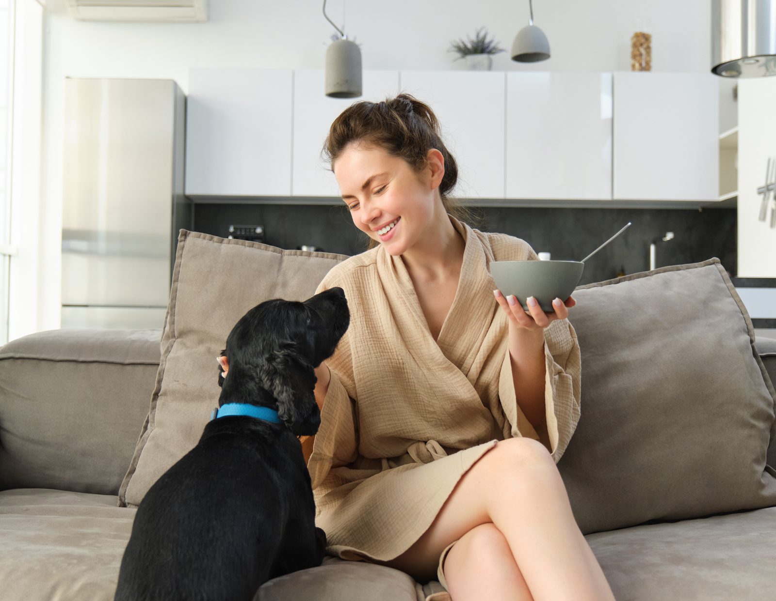 Pet friendly corporate accommodation in Melbourne for extended stays